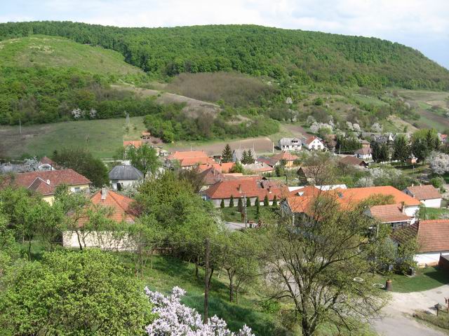 Magasból